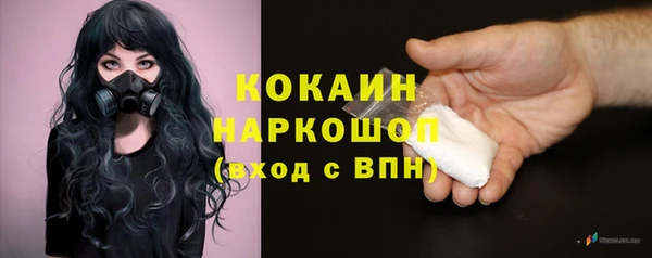 мяу мяу мука Шали