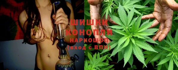 jwh Шадринск