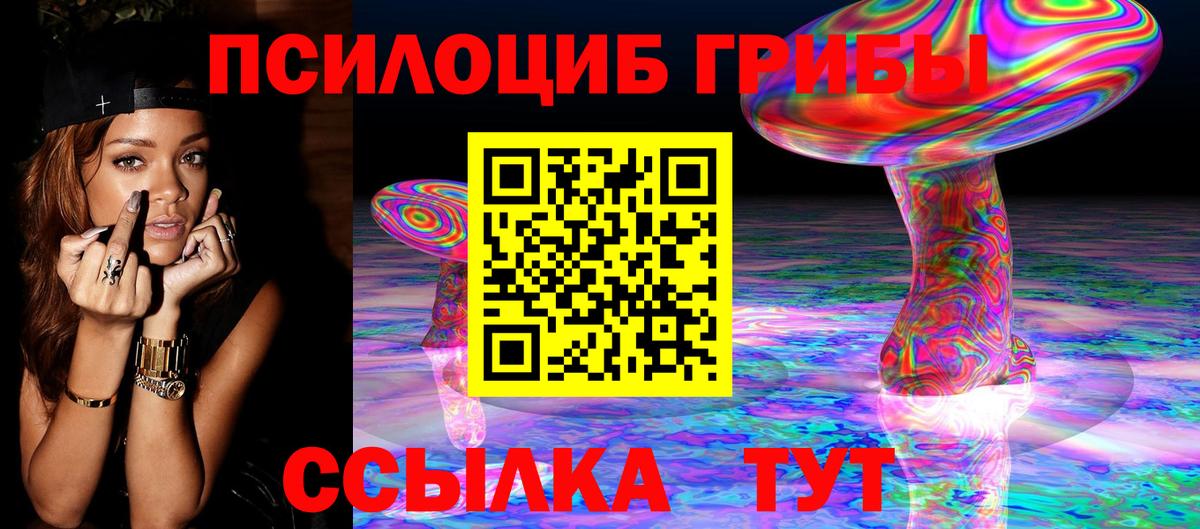 Тында  Псилоцибиновые грибы Cubensis  Вход с VPN 